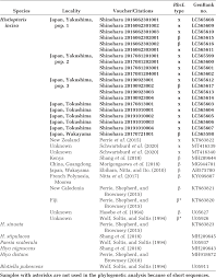 Image result for Blotiella sinuata