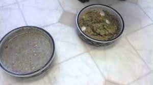We make the best pet foods using only the best ingredients. The Honest Kitchen Cat Food Review Youtube