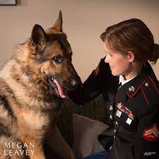 Megan Leavey Movie Military Dogs Military Working Dogs War Dogs