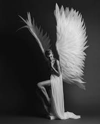 Creative Portraits The Portrait Masters Awards Accreditations Creative Portraits Portrait Studio Portraits