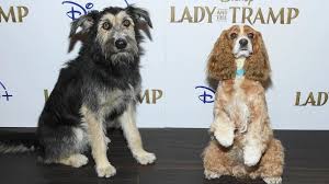Disney Screens Lady And The Tramp In New York Lady And The Tramp Disney Dogs Disney Ladies