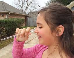 Two winter freezes strike South Belt