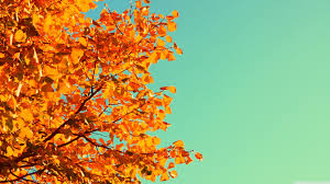 This wallpaper is about cute fall desktop backgrounds, download hd wallpaper for desktop, or mobile in best quality (4k). Fall Pics For Desktop Posted By John Simpson