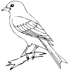 And on this set of free birds coloring pages for children, you will find a lot of different species from different countries and continents. Canary Bird Coloring Page Free Printable Coloring Pages For Kids