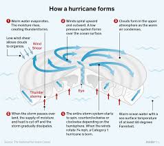 How Hurricanes Like Michael Form How Hurricanes Form Hurricane Meteorology