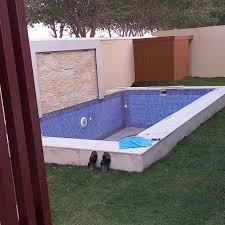 شركة انشاء مسابح بالدمام والخبر - زهرة الربيع