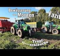 Bewässerung von Morgen? Ernte und Fazit zu den Tropfschläuchen! Qualität  der Kartoffeln verdoppelt