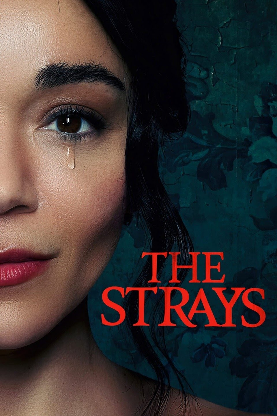 [MINI Super-HQ] The Strays (2023) คนหลงทาง [1080p] [NETFLIX] [พากย์ไทย 5.1 + เสียงอังกฤษ 5.1] [บรรยายไทย + อังกฤษ] [เสียงไทย + ซับไทย] [DOSYAUPLOAD]