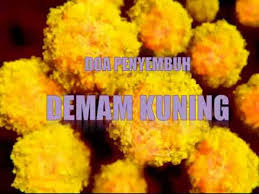 Bayi mengalami sakit kuning ketika bilirubin menumpuk lebih cepat daripada kerja hati yang memecah dan mengeluarkannya dari tubuh. Doa Penyembuh Demam Kuning Dua To Treat Yellow Fever Youtube