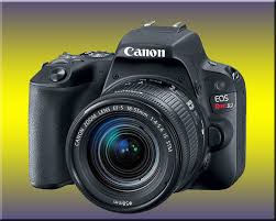 Canon Eos Rebel Sl2 200d Dslr Camera Review Best Camera