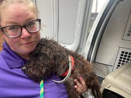 Forwarding for a friend in Crestwood.