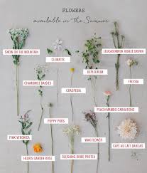 Seasonal Flower Guide Summer