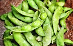 Could Eating Too Much Soy Be Bad For You Scientific American