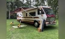 Image result for Russet Sunfire 1980 Motor Home