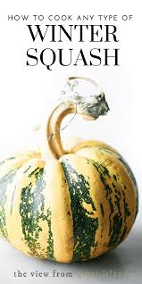 Add oil, salt, pepper, garlic powder, and cayenne; How To Cook Any Type Of Winter Squash The View From Great Island