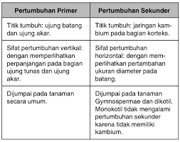 Check spelling or type a new query. Jelaskan Perbedaan Antara Pertumbuhan Primer Dan Sekunder Buatlah Dalam Bentuk Tabel Mas Dayat