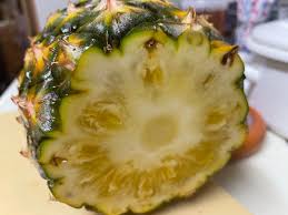 石垣島のパイナップル^ ^ | 新田恵利オフィシャルブログ「Ｅ－ＡＲＥＡ」 Powered by Ameba