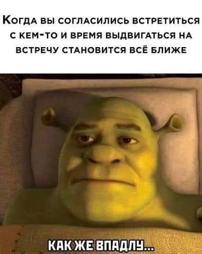 images?q=tbn:ANd9GcTHqvjrsMtKv5eFHU1S1TJ