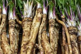 Check spelling or type a new query. 10 Root Vegetables You Can Successfully Grow
