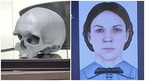 Skull found in Batavia in 1978 identified as likely Indiana 'grave robbery'  victim, officials say