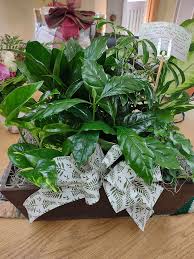 Get mary janes farm coupons, maryjanesfarm.com coupon codes and free shipping from couponfacet.com. Mary Bauman Obituary 1935 2021 Marengo Il Northwest Herald