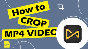 Add your mp4 video file (s) to the center panel. How To Crop Mp4 Video Youtube