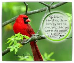 Quotes Sympathy Bird Quotes Messages From Heaven Quotes