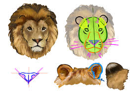 Comment Dessiner Un Lion Comment Dessiner Un Lion Dessin Lion Dessin Lion Facile