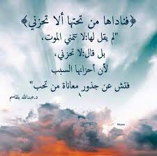 فناداها من تحتها ألا تحزني لم يقل لها لا تتمني الموت بل قال لا تحزنـــــــــي لأن أحزانها السبب فتش عن جذور معاناة من ت quran arabic calligraphy snapchat