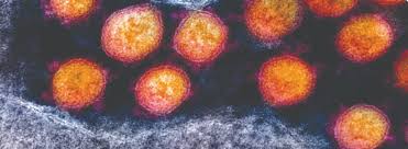 IGI Awards $1 Million to COVID-19 Rapid Response Research Projects