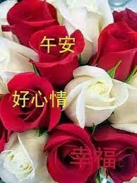 Good morning rose flowers for her written in chinese language. Pin By May On Good Afternoon Wishes In Chinese Afternoon Quotes Good Afternoon Morning Quotes
