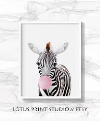 Zebra Bubble Gum Animal Photos With Bubble Gum Zebra Wall Art Safari Animal Wall Art Jungle