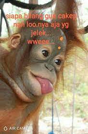  Loo Nya Aja Yg Jelek Wweee Lucu Momen Lucu Gambar Lucu