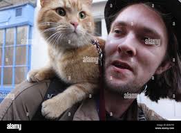 James bowen bob cat outside hi-res stock photography and images