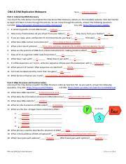 These could be things like marketing, distribution. Dna Dna Replication Webquest Student Handout Pdf Dna Dna Replication Webquest Name Part 1 Interactive Dna Discovery Use Any Of The Links Below Course Hero