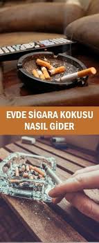 Pratik Bilgiler Panosundaki Pin