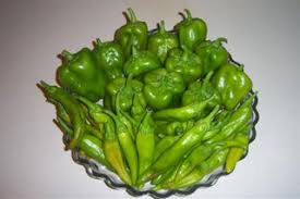 2020 popular 1 trends in home & garden, toys & hobbies, home improvement with brick dog house and 1. The Doggy Garden Fence 5 Steps Instructables