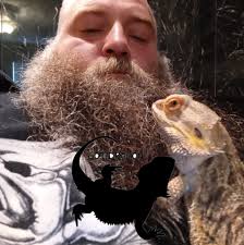 Will Adored and Revoker return to Crucible in Destiny 2?