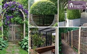 How high is your iq? Ingenious Ways To Regain Privacy From Second Story Neighbors Pretty Purple Door