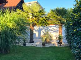 Become a member today for just £36. Der Exotengarten Wie Kam Das Der Exotengartner