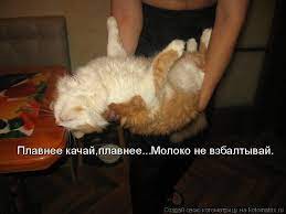 pin na doske smeshno do boli