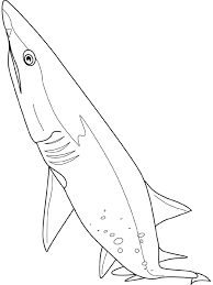 Aug 20, 2021 · tiger shark fish coloring pages for kids free. Sand Tiger Shark Coloring Pages Fenster