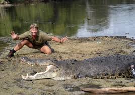 Historical records matching steve irwin. 57 Geburtstag Von Steve Irwin