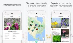 It allows a person to look for plants nearby and gain some information regarding them. Best Plant Identification Apps For Android Devices 2021