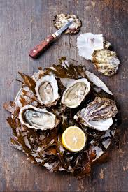 Bekijk meer ideeën over oesters, schelpen, knutselen met oesterschelpen. Do S En Don Ts Bij Het Bereiden Van Oesters Culy Nl