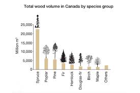 On surveying across people from various demographics, the most common birthday month has been observed to be september. What Is Canada S Most Popular Tree