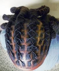 In this article, we cover maintenance tips and the hottest haircuts. Criss Cross Dreadlocks Dreadlocks Styles For Men Askhairstyles