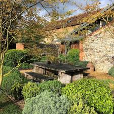 Emily Erlam On Instagram The Lush New Growth At The Barn Garden Bathed In Early Sun A Particular Success Has Been The Pink Unfurli Garden Outdoor New Growth