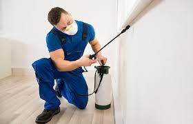 Pest Control Brisbane | Sun Dry