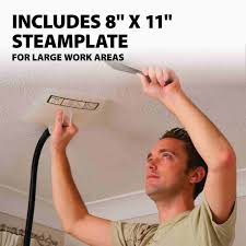 This steamer is great for wallpaper removal, grout cleaning, soap scum removal, cleaning. Wagner 0282036 715 Power Steamer Steam Cleaner For Wallpaper Removal 2 Steamplates Included Do It Best World S Largest Hardware Store